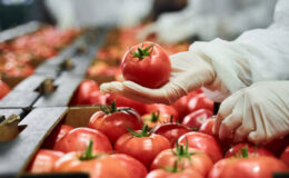Técnicas de Manipulación de Alimentos